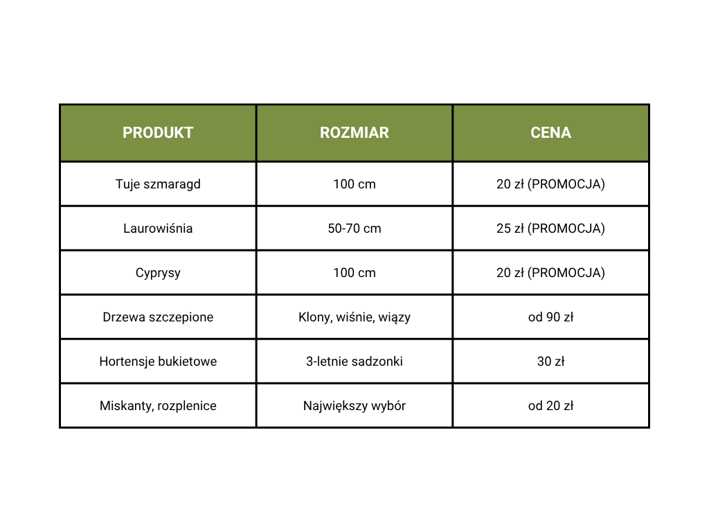 Zdjęcie ze szkółki w Łagodzinie pod Gorzowem 1